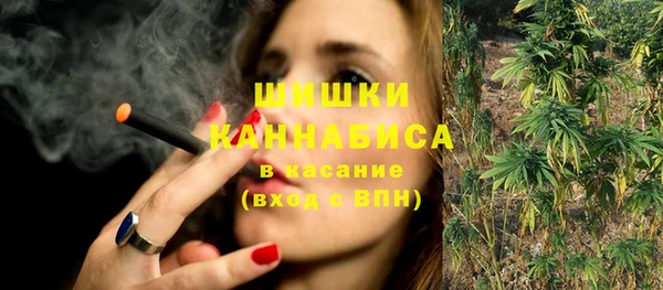 spice Верхний Тагил