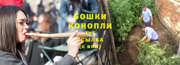spice Верхний Тагил