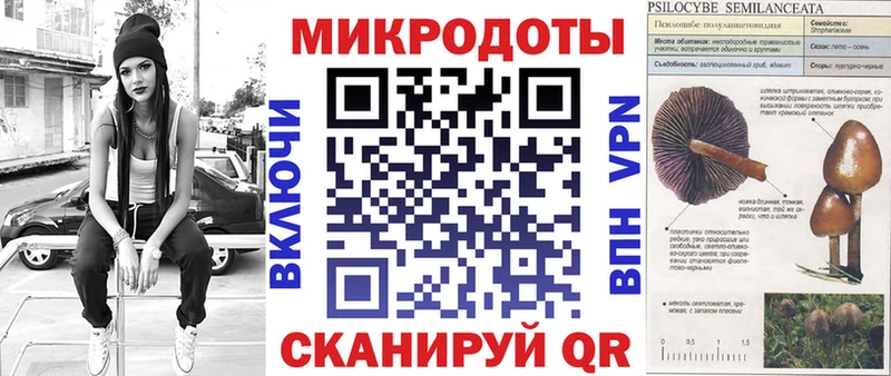 Псилоцибиновые грибы Magic Shrooms  hydra ССЫЛКА  Шатура 